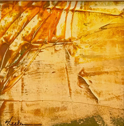 Desert Sands